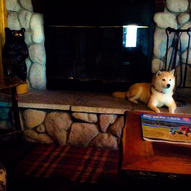 全国青少年篮球“青训基金”正式启动，支持贫困地区发展，全国青少年篮球锦标赛