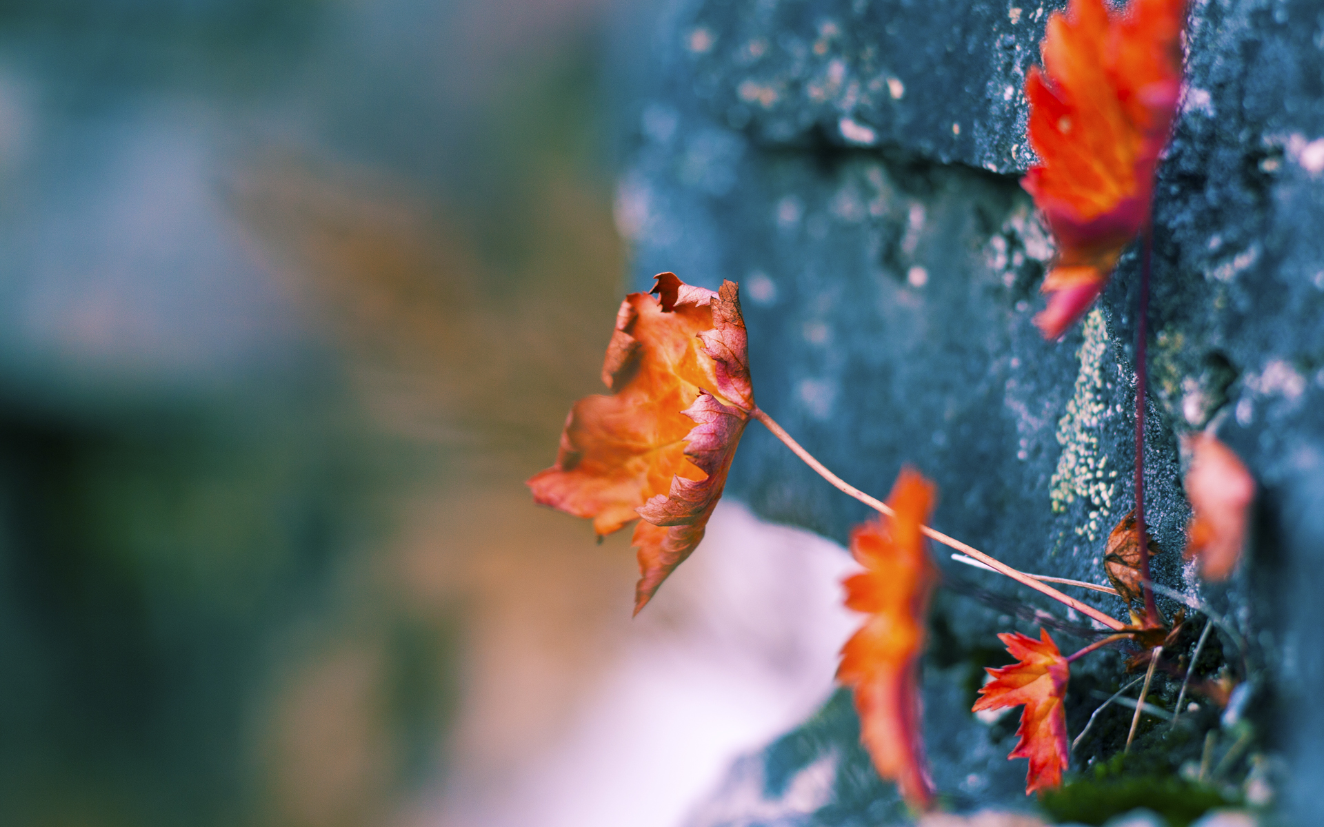 AYX GAMING-“十局鏖战，比赛悬念在最后定局，现场高潮迭起”，十局九胜