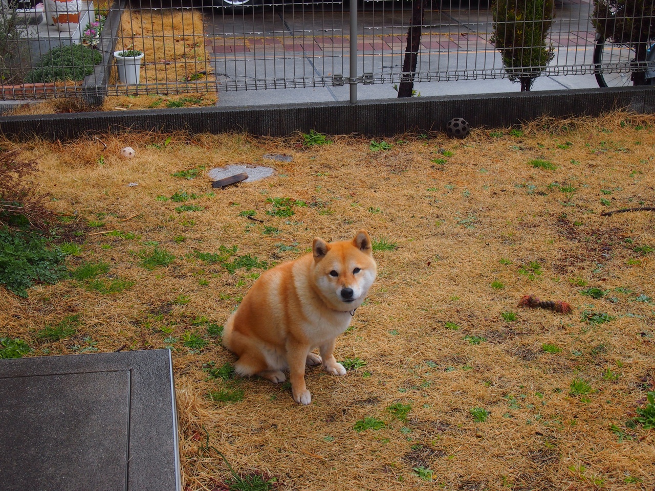 爱游戏中国官方登录入口网站-“环球巡回：五洲极限赛场大盘点”，五洲记录